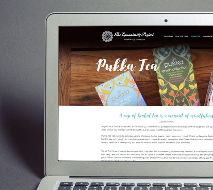 visuallyunique-tep_website_design_02