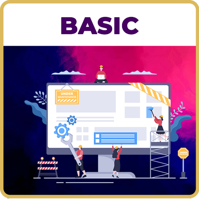 Basic Website Maintenance Package